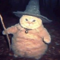 ชีพ (@wizardofchiph) 's Twitter Profile