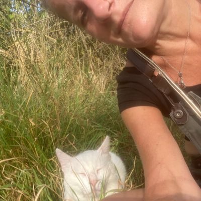 sever85227's profile picture. 