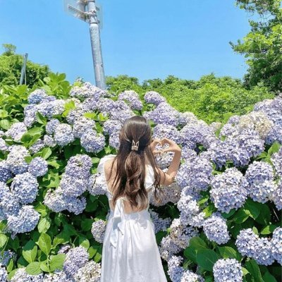 副業で収入を増やすコツを共有中。副業を始めてみたい人にお得な情報を提供。ほんの僅かですがプレゼント企画も始めました★ なくなり次第終了→ https://t.co/KyAzkhjjjN