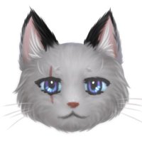 dawnmisty☁️ミスティ (@dawnmisty_cat) 's Twitter Profile