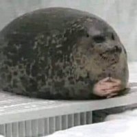 Lex182 (@fajardolexter) 's Twitter Profile