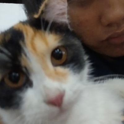 quinttzk's profile picture.