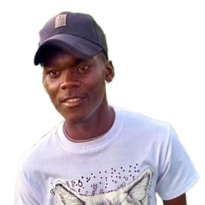 newt63496's profile picture. 