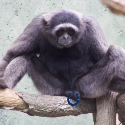 BrandonTower7's profile picture. 