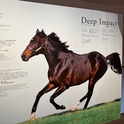 mofu_pakapaka's profile picture. 競馬歴20年！まだまだ挑戦中🐎競馬の話や独自の予想をどんどん発信していきます。気軽にリプやコメント、フォローをしてくれたらとっても嬉しいです☺️一緒に競馬のワクワクを楽しみましょう✨