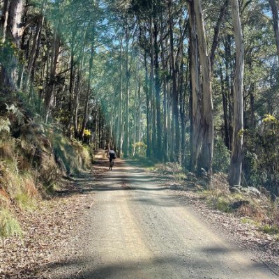 bigmac_ak's profile picture. Live in canberra. Like to run and ride.