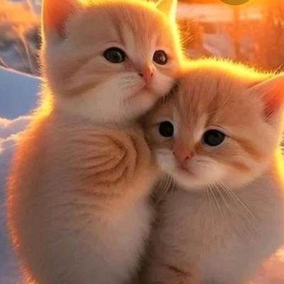 sarahbrina's profile picture. another me