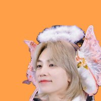 Lia ๐งโโ๏ธ | inactive (@minwon_hannie) 's Twitter Profile