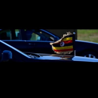 utakatafoam's profile picture. Forever Grateful!