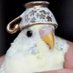 Aursure (@kidsllamas) Twitter profile photo Aursure (@kidsllamas) Twitter profile photo