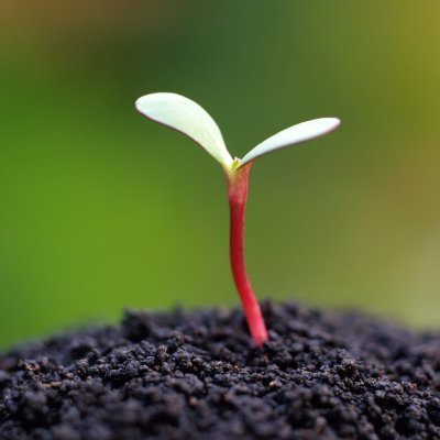 MagnayeRhia1's profile picture. 