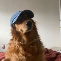 uwu🫧 (@tracklisting) 's Twitter Profile Photo