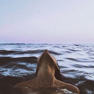 𝕰𝖓𝖙𝖗𝖔𝖕𝖎𝖆さんのプロフィール画像