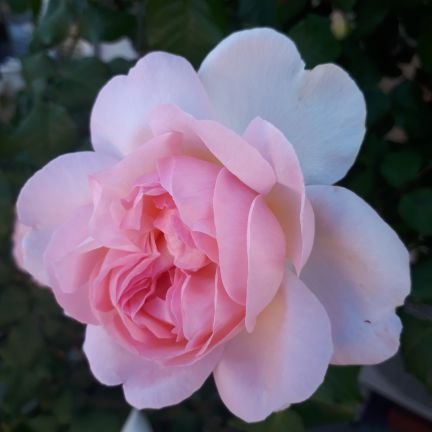 @zYyEpCXjKR13699