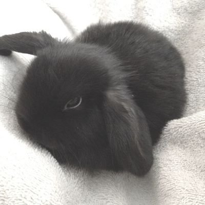 Not sky;さんのプロフィール画像