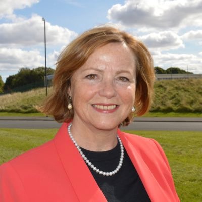 The Elected Mayor of North Tyneside Promoted by Eddie Darke on behalf of Karen Clark both at Ruby Court, Wesley Drive, Newcastle upon Tyne, NE12 9UP.