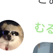 荒野垢取引のむるは詐欺師です、僕は2回詐欺られました。気をつけましょう@kumo_0729👈詐欺師のX @xjf29o 👈詐欺師の在庫