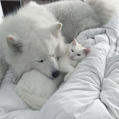 nnnnnnncare's profile picture. 𝐋𝐢𝐟𝐞 𝐢𝐬 𝐜𝐨𝐥𝐨𝐫𝐟𝐮𝐥 𝐛𝐞𝐜𝐚𝐮𝐬𝐞 𝐨𝐟 𝐲𝐨𝐮.𝐁𝐔𝐒(𝐁𝐞𝐜𝐚𝐮𝐬𝐞 𝐎𝐟 𝐘𝐨𝐮 𝐈 𝐒𝐡𝐢𝐧𝐞)/12
#AAashirakorn  #PHUTATCHAI #PEEMTANAT