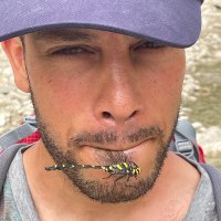 Raj Whitlock (@rajwhitlock) 's Twitter Profile