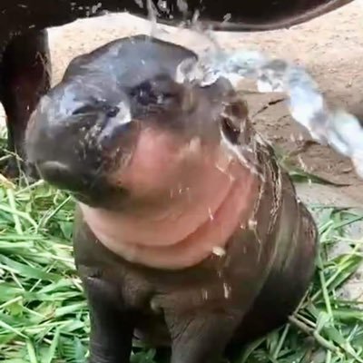 🍀さんのプロフィール画像