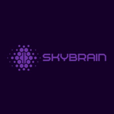 SkyBrain aims to push the boundaries of what is possible in cognitive enhancement, mental health, and personalized neurotechnology solutions.