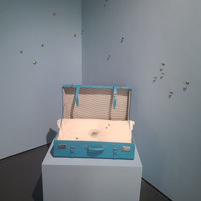 FunForestFun's profile picture. 