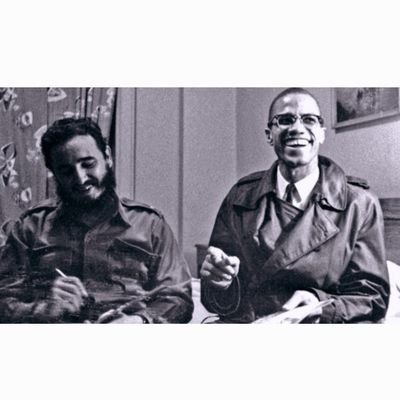 Tear down the Wall #FreeMumia #FreeLeonardPeltier we have met the enemy & it is us 🌍🕊🌈🌾 #Stein/Ware2024