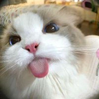 el (@loupkms) 's Twitter Profile