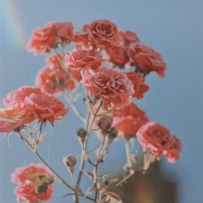 Akina1271123's profile picture. 副業で収入を増やすコツを共有中。副業を始めたい人にお得な情報を発信。ほんの僅かですが現金給付企画もしています。 支援中⇒ https://t.co/EMXUw170Lb