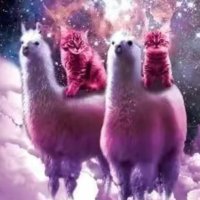 cstles (@cccstles) 's Twitter Profile Photo