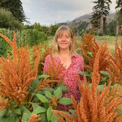plantpathpark's profile picture. PhD student @osubpp studying microbiome-mediated multiple disease resistance in wheat. And farming the rest of the time.