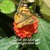 Ayat Ali (@ayatali78247256) Twitter profile photo Ayat Ali (@ayatali78247256) Twitter profile photo