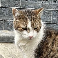 GlacierOsricDechart (@dechartosric) 's Twitter Profile