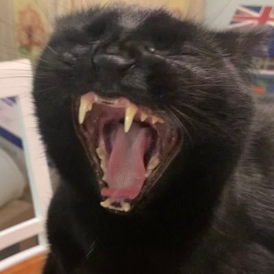 CheezeXakeFxtry Profile
