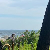 ずー (@zoo_9_) 's Twitter Profile