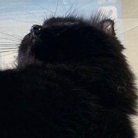 ハンルイ|| 晗睿 (@hanrui3thefirst) 's Twitter Profile Photo