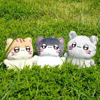 dreamyang_'s profile picture. ❤️ 양지원 유태율 👀 박경호 이세헌 이승준