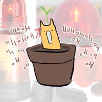 단풍 (@maple_loves2) 's Twitter Profile