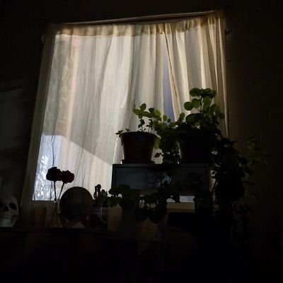 TKanemite's profile picture. 