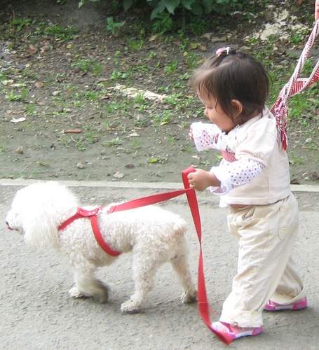 Pesfi's profile picture. 