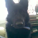 Herbert Singh dlay - @HerbertSinghdla - Twitter