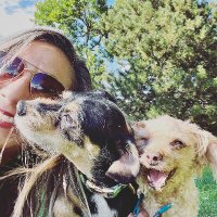 Jessica Gill-Forster (@thedoggohub) 's Twitter Profile