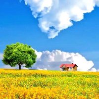 رقيه راقيه (@mhrm24737) 's Twitter Profile