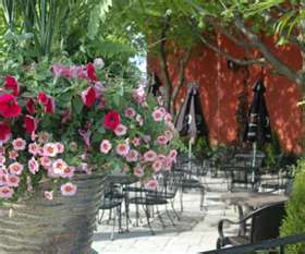 We Focus on Fresh, Local Food, Ontario VQA Wines & Craft Beers