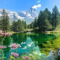 🔥LOS MEJORES🔥 (@fernand55173191) 's Twitter Profile