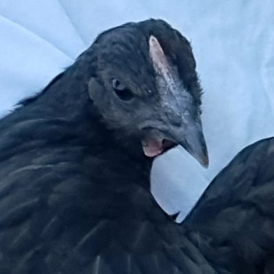 stick0_0's profile picture. 