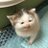 benz___chu's profile image