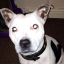 Dan Livermore - @dan_livermore - Twitter