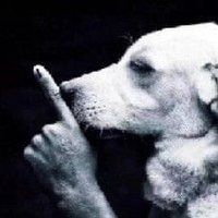 IamGhost (@iamghostbtw) 's Twitter Profile