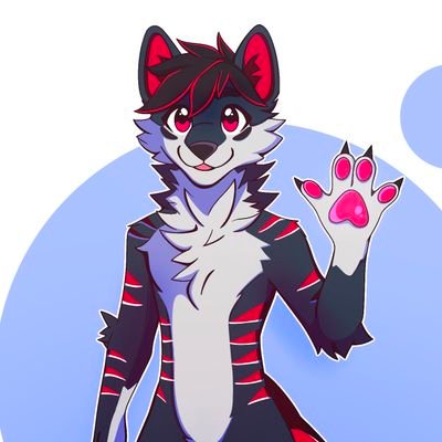 Luka_floof's profile picture. Welcome to my fluffy side! 🐺 Dog-Wolf Hybrid / 22♂️  / 📷 Photography and 🏔 Travel / 🩺 Pre-Med College Grad in Boston